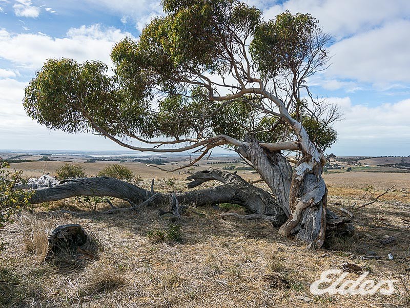 Lot 202 The Brook Drive, Middleton SA 5213