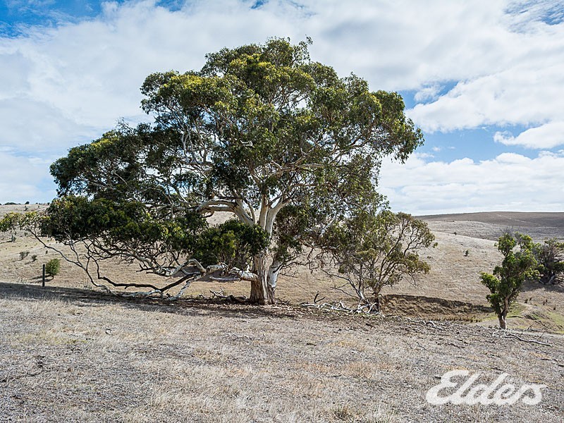 Lot 202 The Brook Drive, Middleton SA 5213