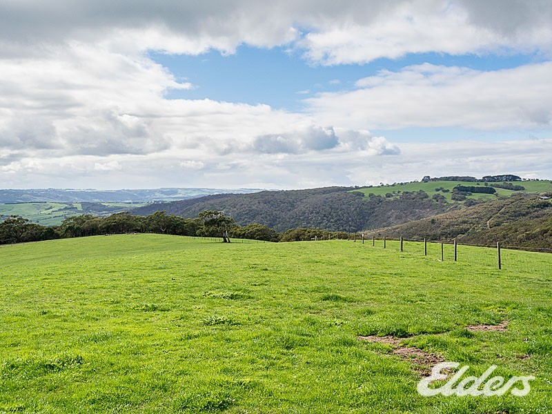 547 Parawa Road, Parawa SA 5203