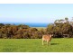 254 Mt. Scrub Rd, Waitpinga SA 5211