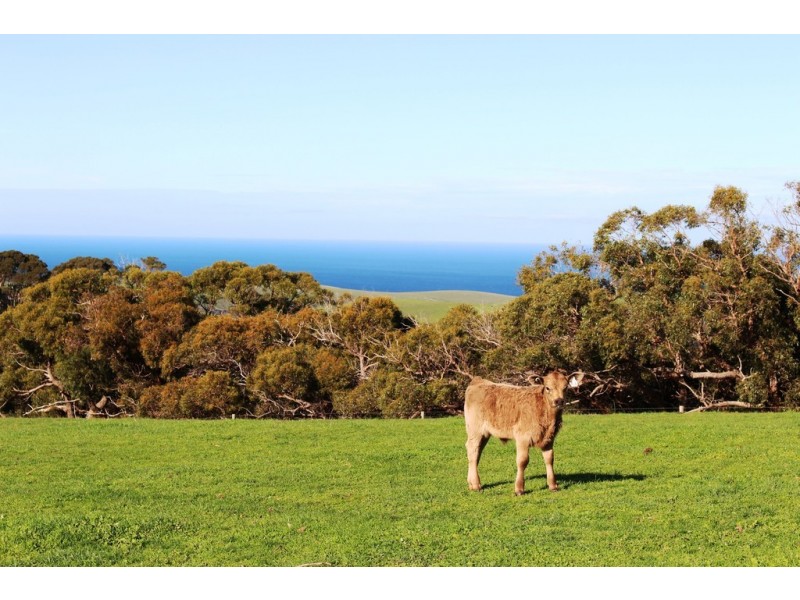 254 Mt. Scrub Rd, Waitpinga SA 5211