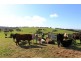 254 Mt. Scrub Rd, Waitpinga SA 5211