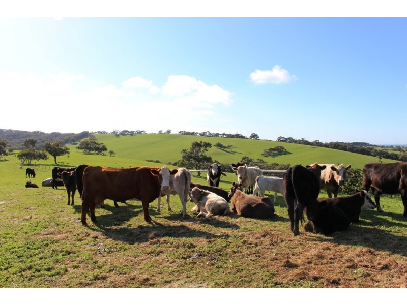 254 Mt. Scrub Rd, Waitpinga SA 5211