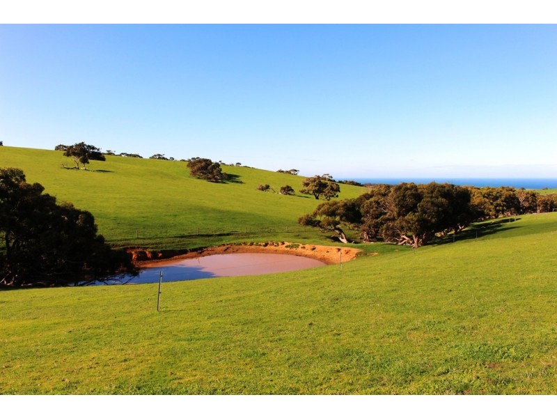 254 Mt. Scrub Rd, Waitpinga SA 5211