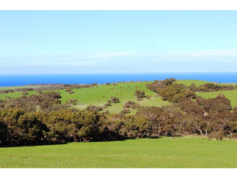 254 Mt. Scrub Rd, Waitpinga SA 5211