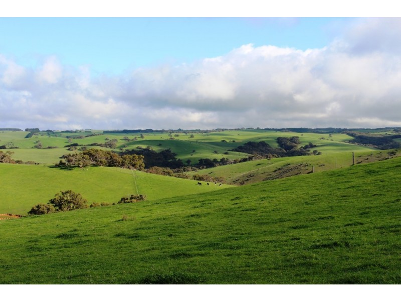 254 Mt. Scrub Rd, Waitpinga SA 5211