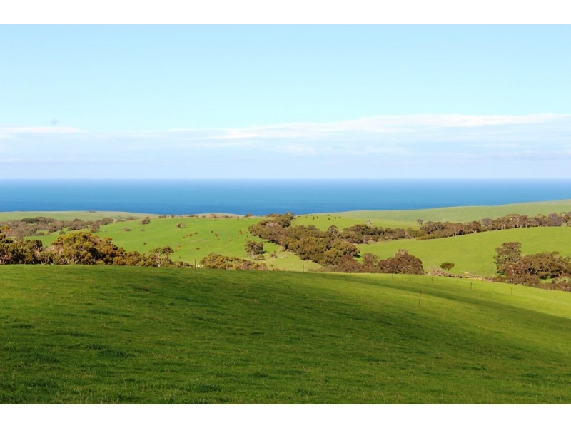 254 Mt. Scrub Rd, Waitpinga SA 5211