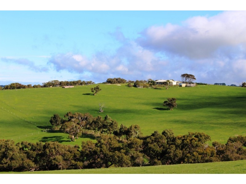 254 Mt. Scrub Rd, Waitpinga SA 5211
