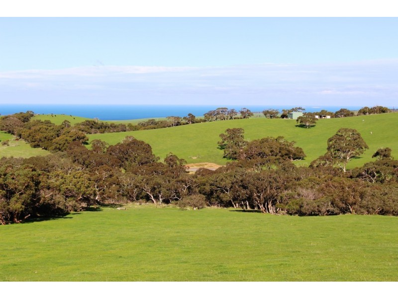 254 Mt. Scrub Rd, Waitpinga SA 5211