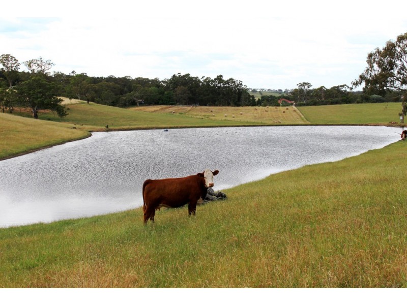 Lot 1 Mount View Road, Mount Torrens SA 5244