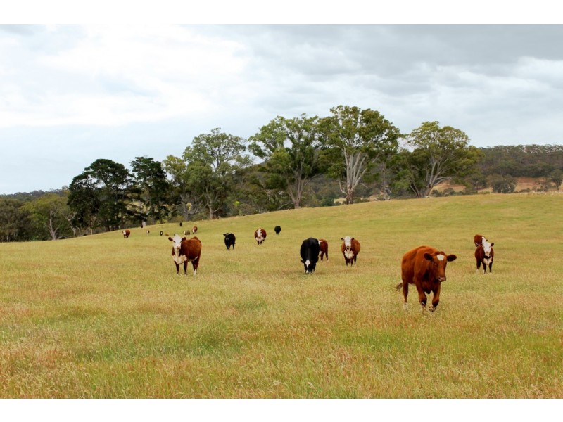 Lot 1 Mount View Road, Mount Torrens SA 5244