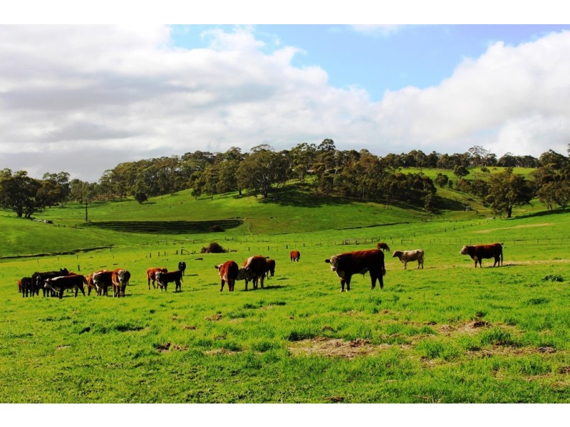 Lot 1 Mount View Road, Mount Torrens SA 5244