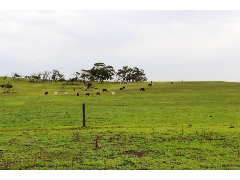 549 Back Valley Road, Back Valley SA 5211