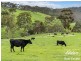 262 Nettle Hill Rd, Hindmarsh Valley SA 5211