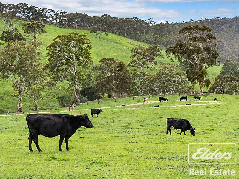262 Nettle Hill Rd, Hindmarsh Valley SA 5211