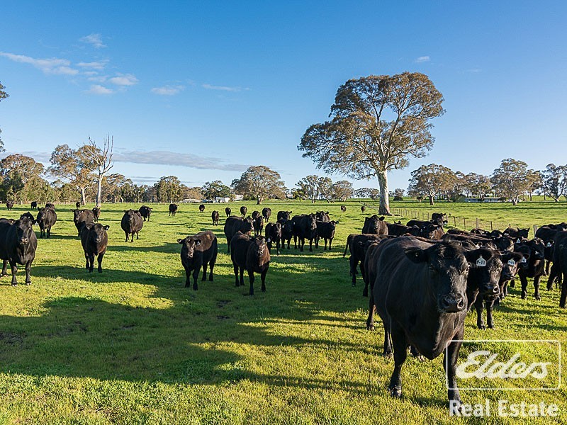 123 Randell Road, Mount Pleasant SA 5235