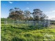 123 Randell Road, Mount Pleasant SA 5235