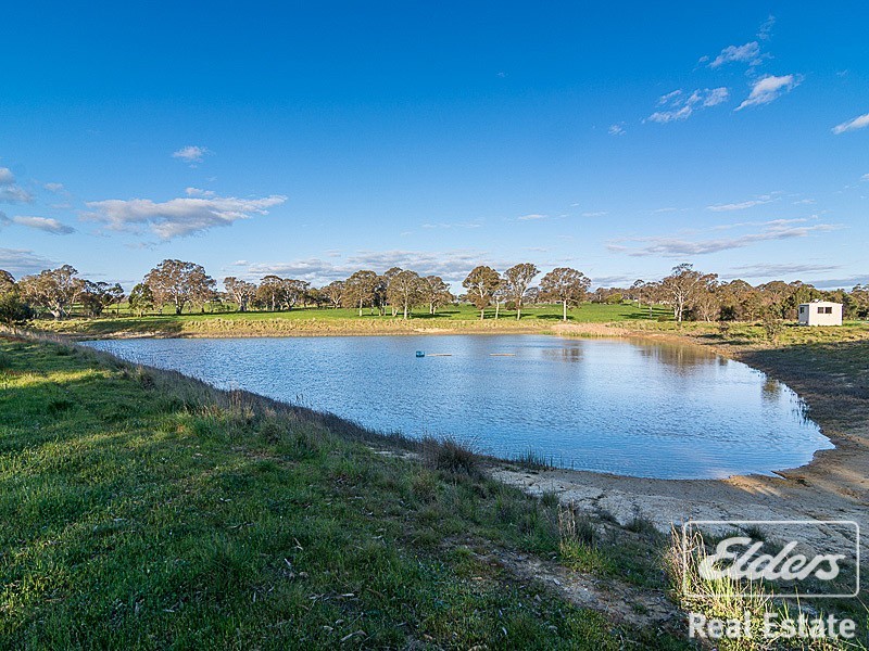 123 Randell Road, Mount Pleasant SA 5235