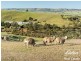 7 Fountain Street, Kanmantoo SA 5252