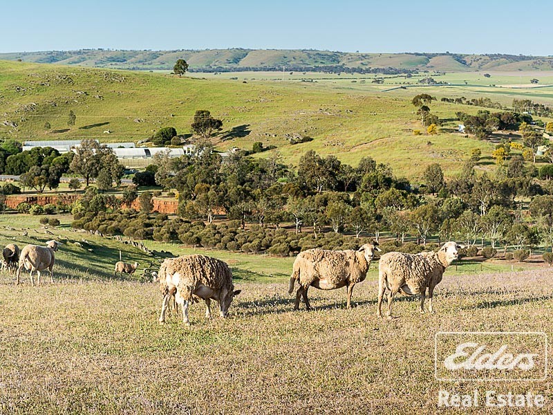 7 Fountain Street, Kanmantoo SA 5252