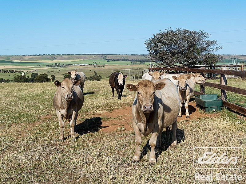 7 Fountain Street, Kanmantoo SA 5252