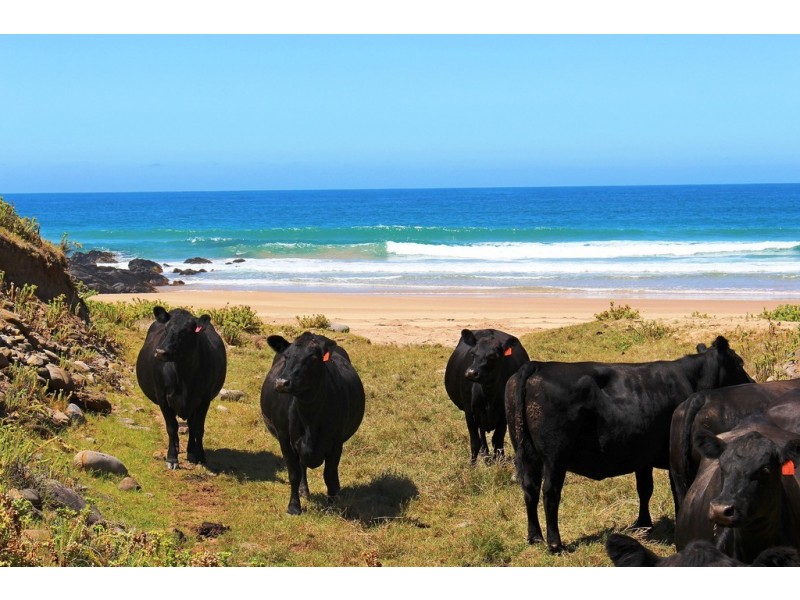 ‘Sheepies’ Coolawang Beach Rd, Waitpinga SA 5211