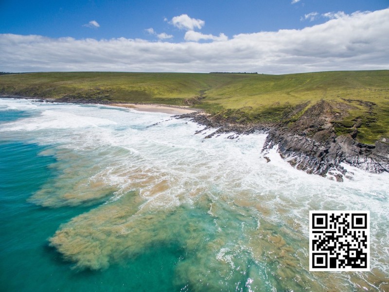 ‘Sheepies’ Coolawang Beach Rd, Waitpinga SA 5211