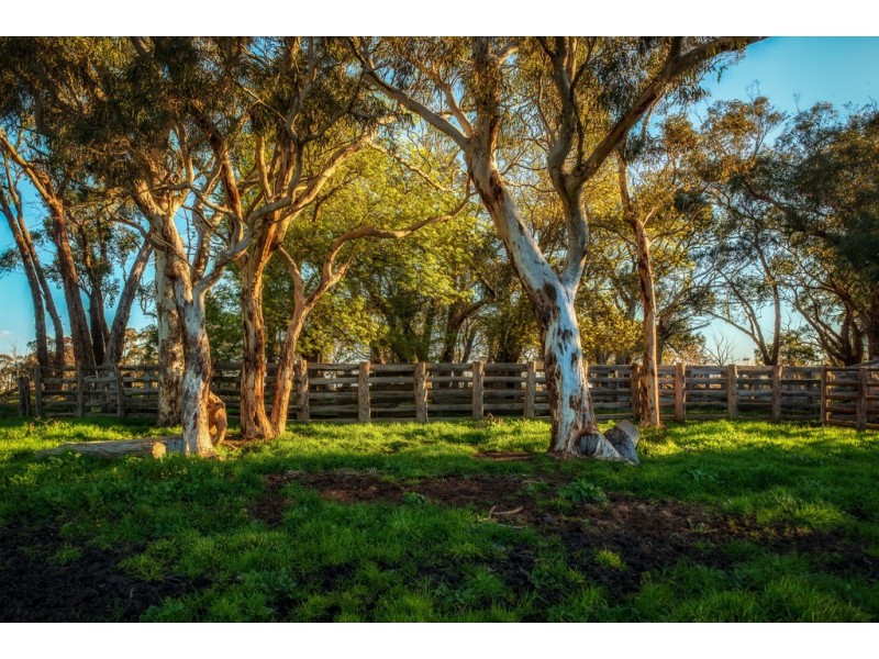 189 HILLYFIELDS ROAD, Meadows SA 5201