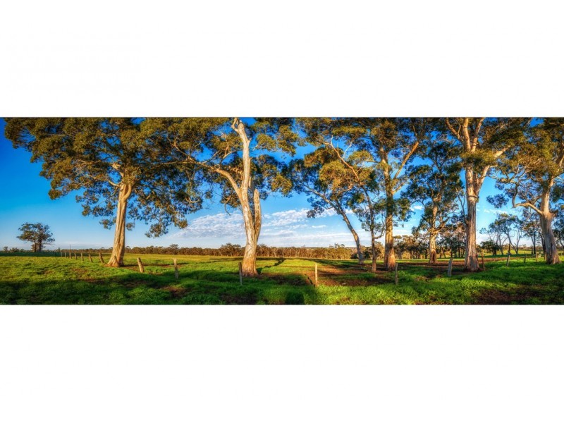 189 HILLYFIELDS ROAD, Meadows SA 5201