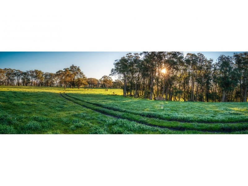 189 HILLYFIELDS ROAD, Meadows SA 5201