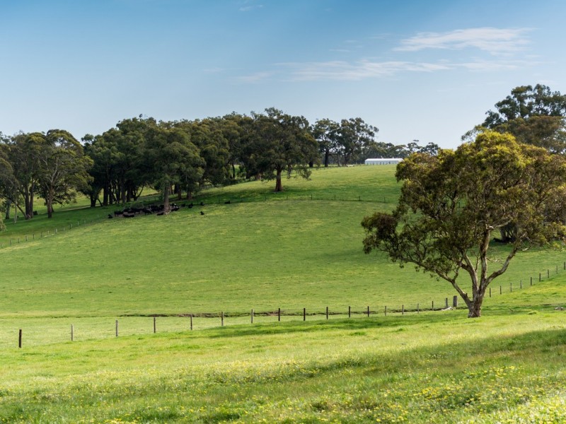 189 HILLYFIELDS ROAD, Meadows SA 5201