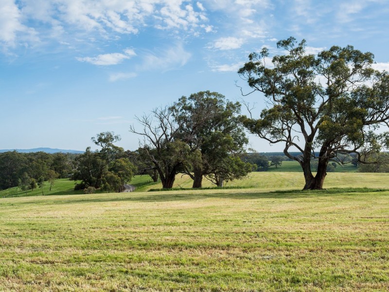 189 HILLYFIELDS ROAD, Meadows SA 5201