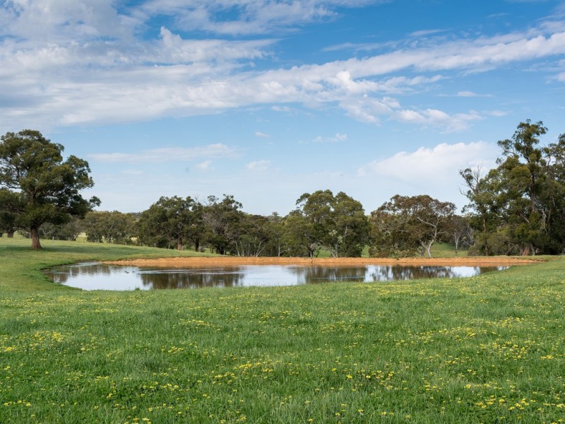 189 HILLYFIELDS ROAD, Meadows SA 5201