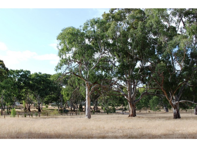 Lot 53 Henry Martin Road, Ashbourne SA 5157