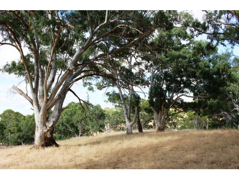 Lot 53 Henry Martin Road, Ashbourne SA 5157
