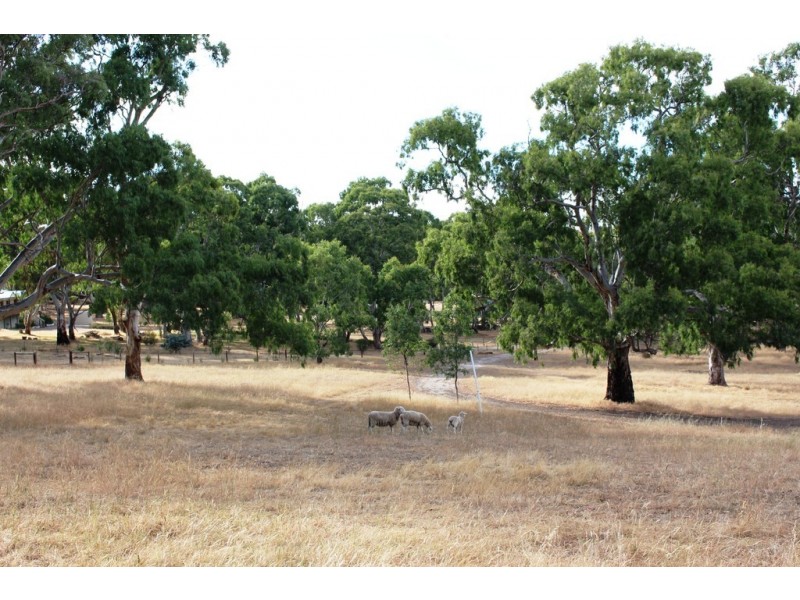 Lot 53 Henry Martin Road, Ashbourne SA 5157