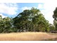 Lot 53 Henry Martin Road, Ashbourne SA 5157