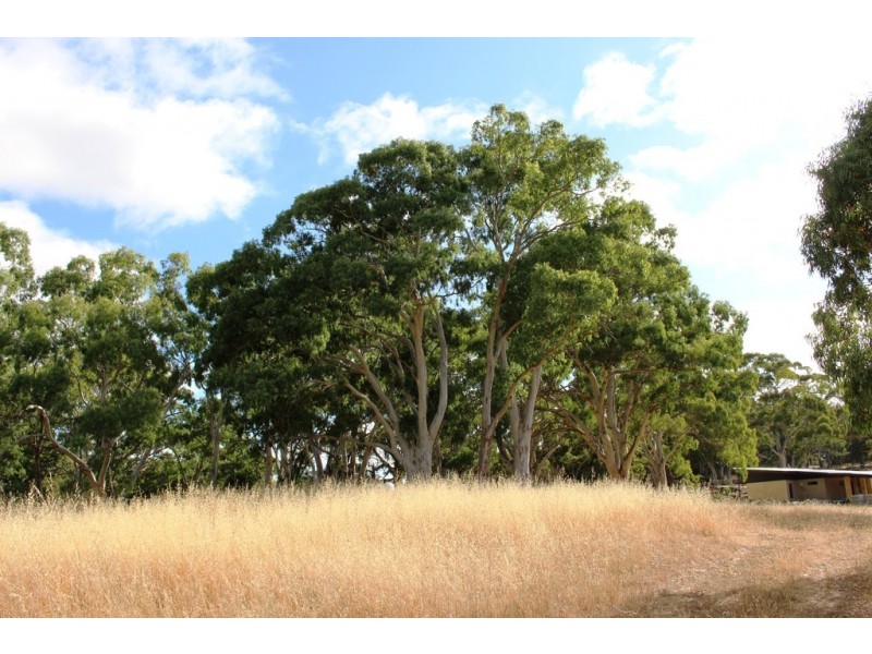 Lot 53 Henry Martin Road, Ashbourne SA 5157