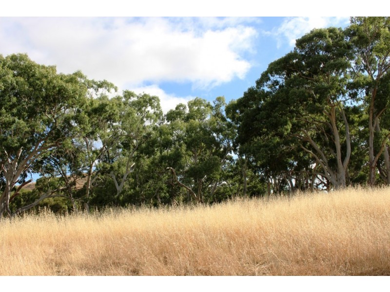Lot 53 Henry Martin Road, Ashbourne SA 5157