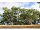 Lot 53 Henry Martin Road, Ashbourne SA 5157