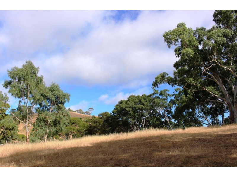 Lot 53 Henry Martin Road, Ashbourne SA 5157