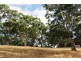 Lot 53 Henry Martin Road, Ashbourne SA 5157