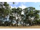 Lot 53 Henry Martin Road, Ashbourne SA 5157