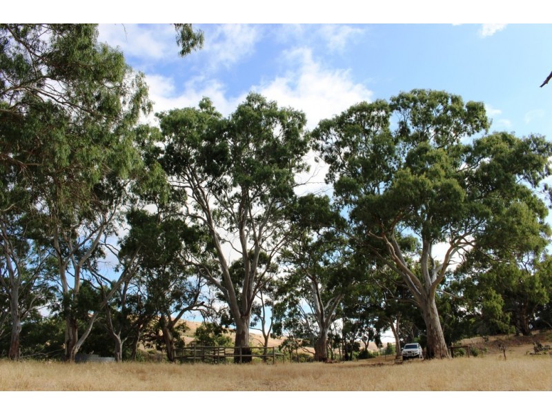Lot 53 Henry Martin Road, Ashbourne SA 5157