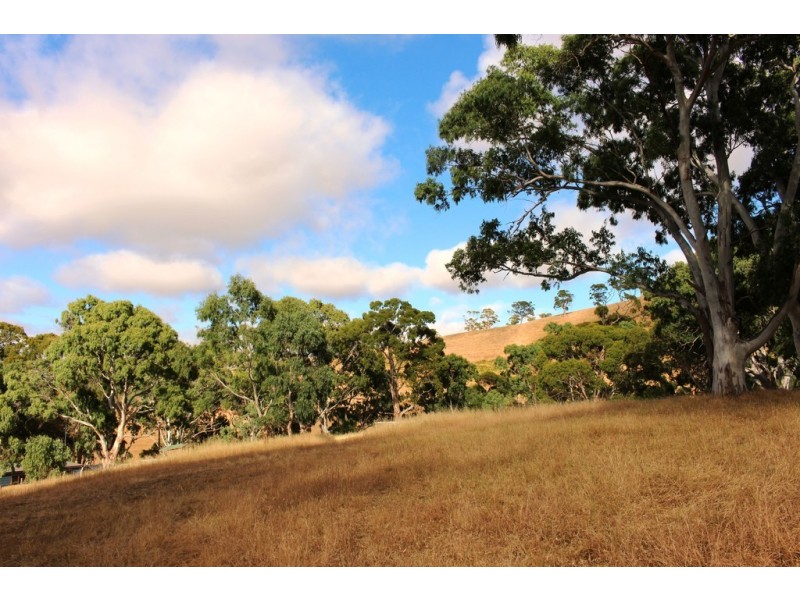Lot 53 Henry Martin Road, Ashbourne SA 5157