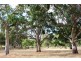 Lot 53 Henry Martin Road, Ashbourne SA 5157