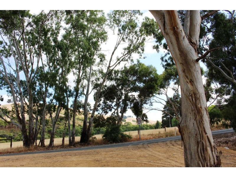 Lot 53 Henry Martin Road, Ashbourne SA 5157