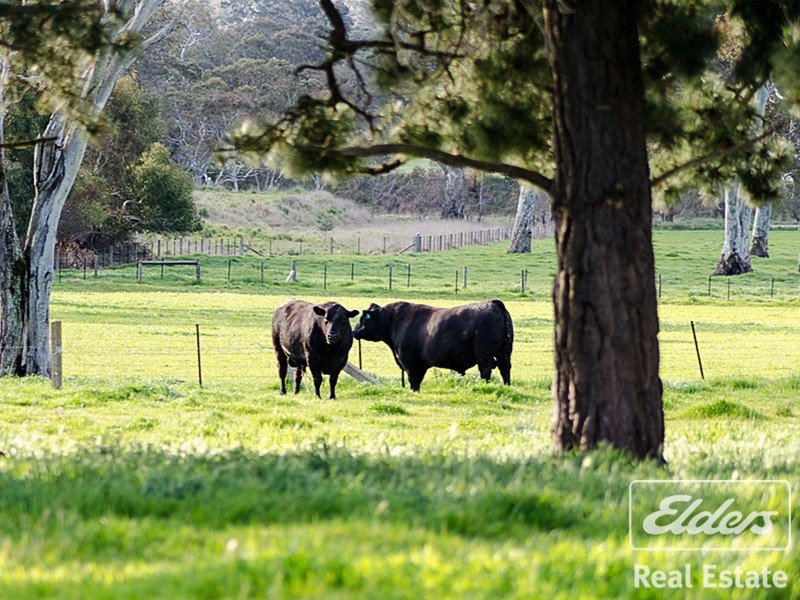 146 B Ken Hicks Road, Mount Pleasant SA 5235