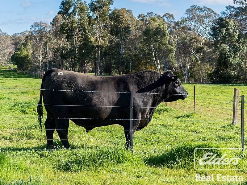 146 B Ken Hicks Road, Mount Pleasant SA 5235