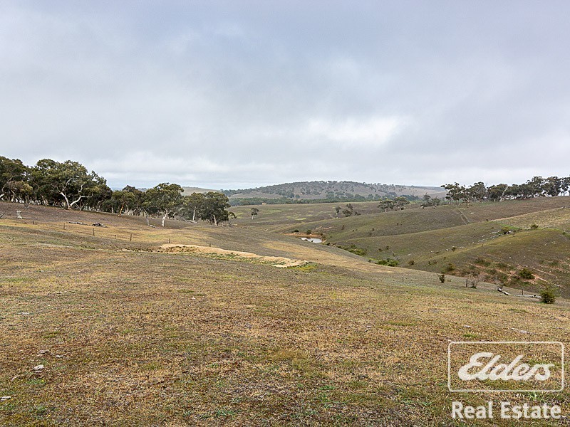 161 Sinclair Road, Sellicks Hill SA 5174